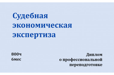 Судебная экономическая экспертиза часть 2